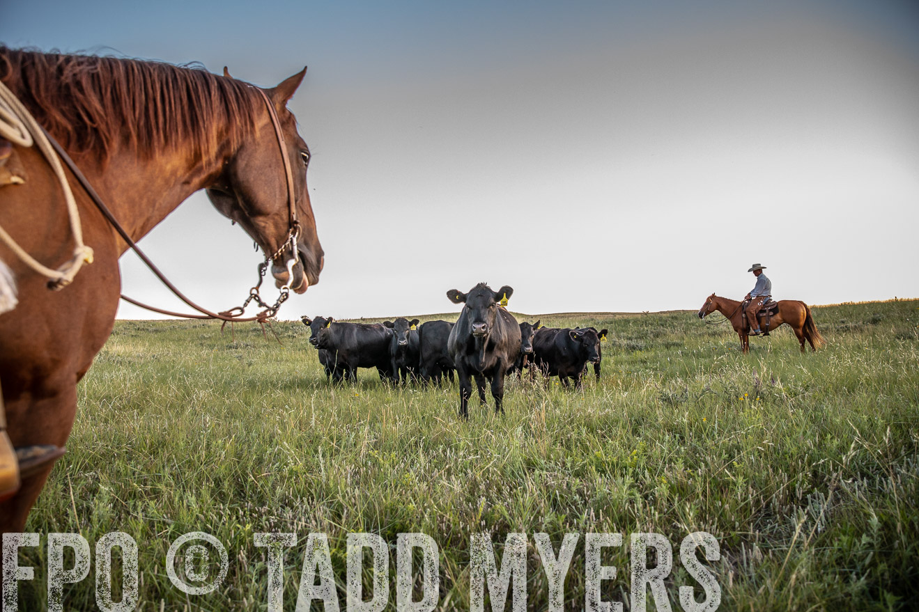 PP_TuckerRanch_NE_July2019-42751