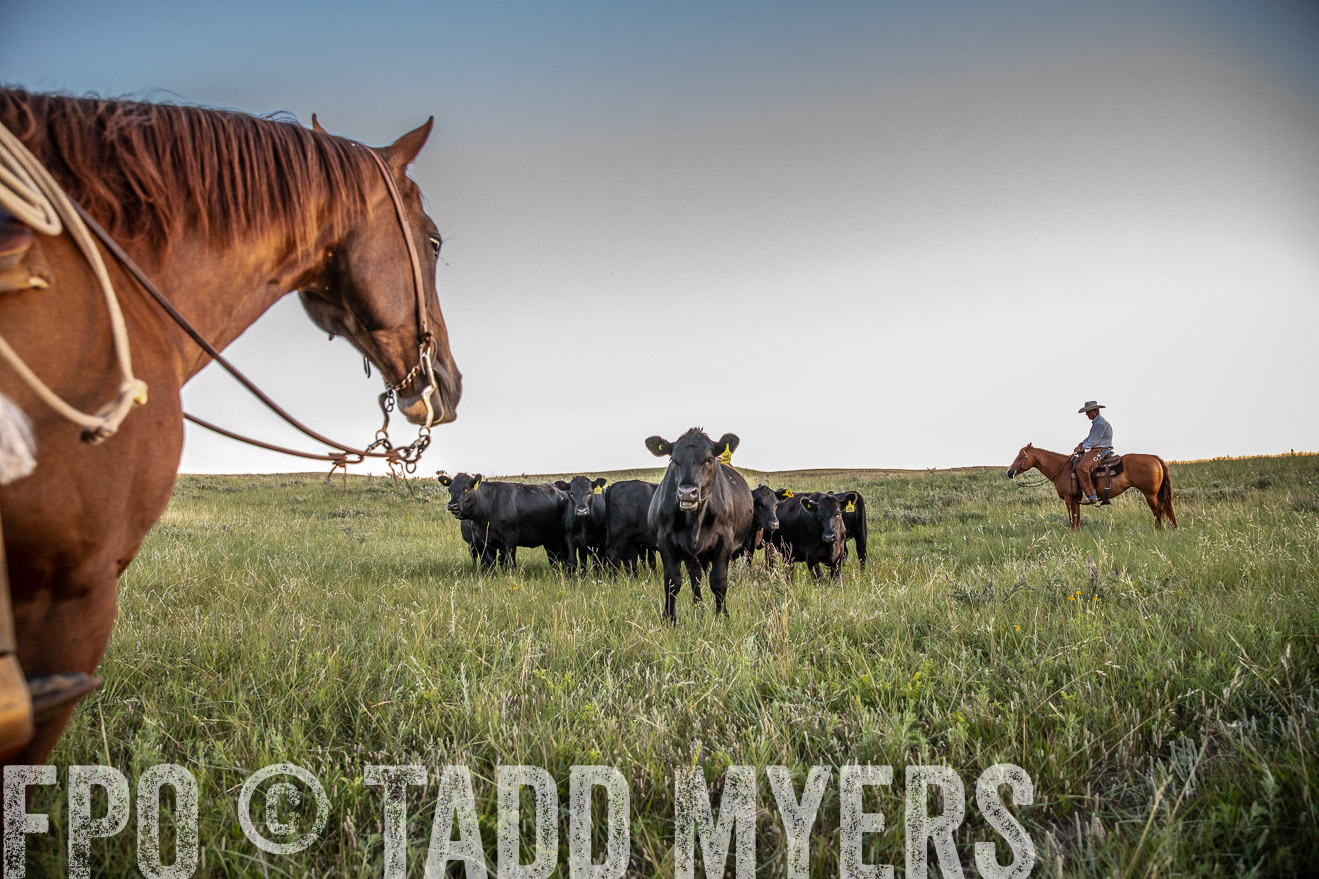 PP_TuckerRanch_NE_July2019-42752