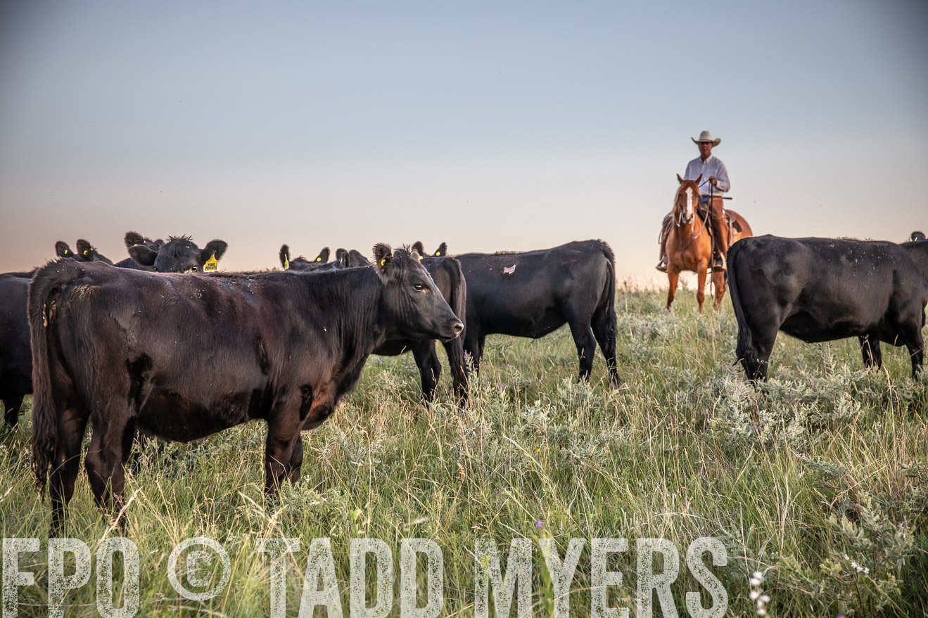 PP_TuckerRanch_NE_July2019-42827
