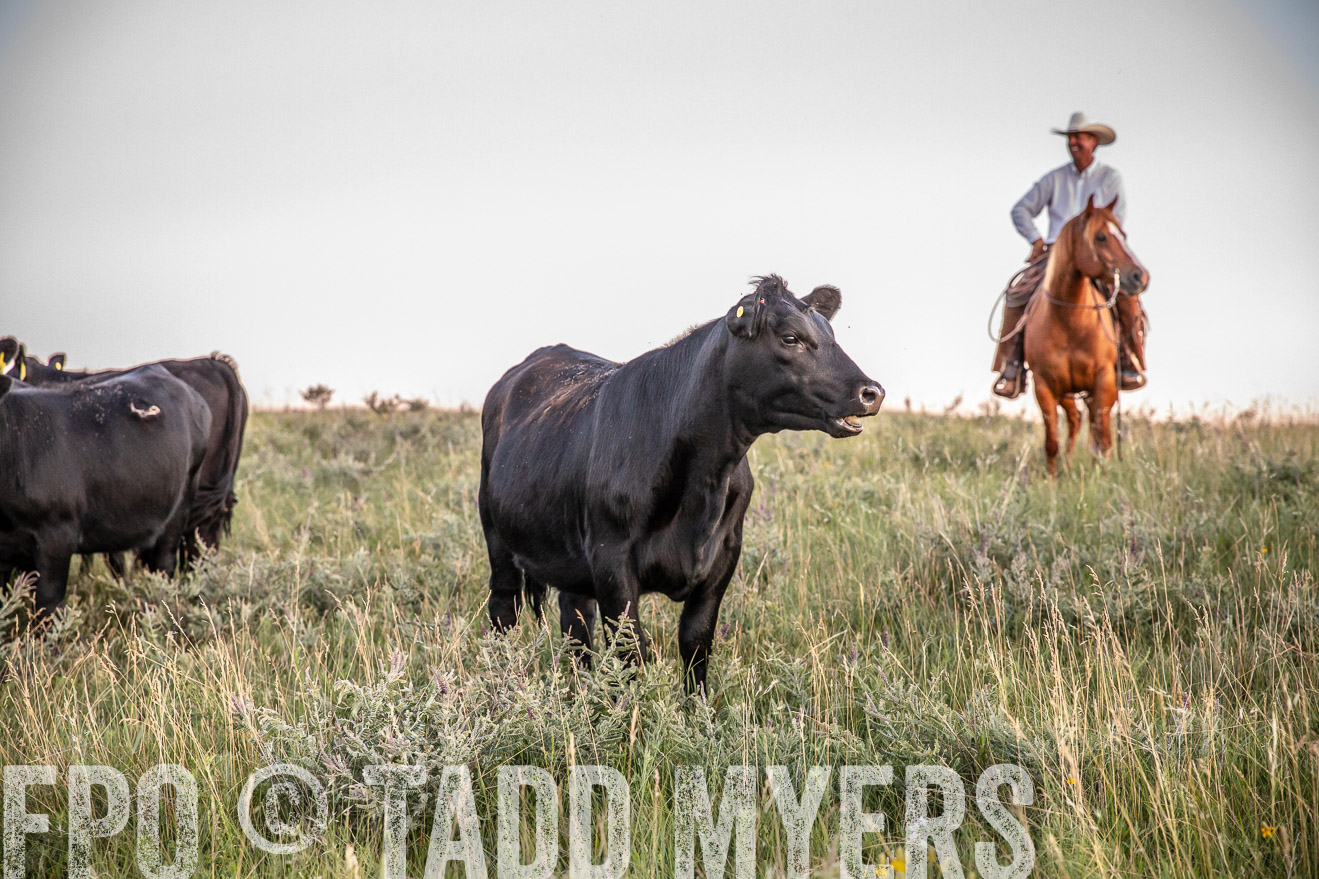PP_TuckerRanch_NE_July2019-42835