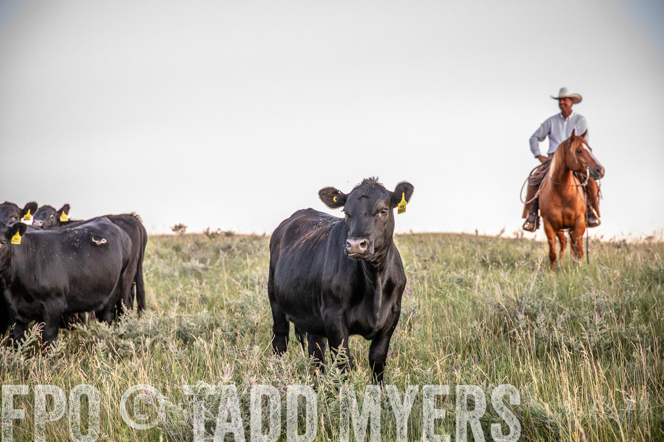 PP_TuckerRanch_NE_July2019-42837