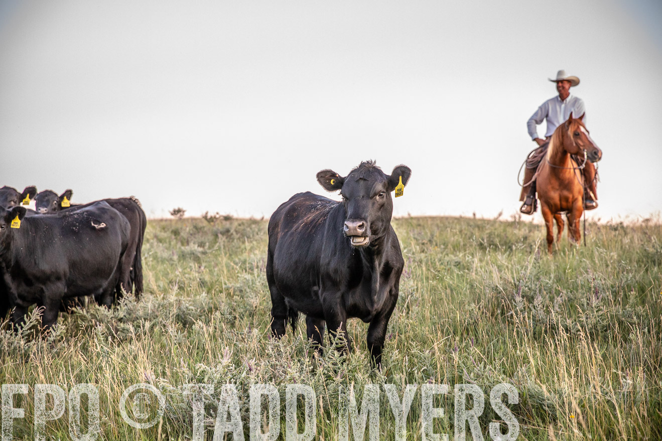 PP_TuckerRanch_NE_July2019-42838