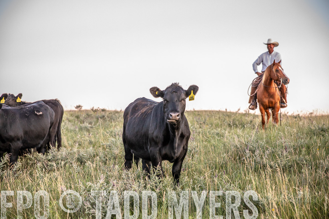 PP_TuckerRanch_NE_July2019-42839
