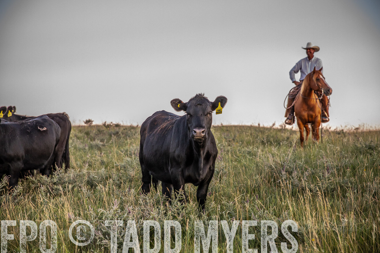 PP_TuckerRanch_NE_July2019-42840