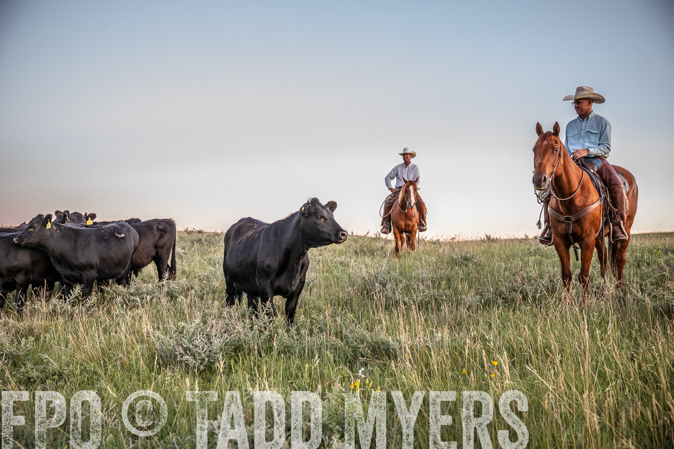 PP_TuckerRanch_NE_July2019-42845