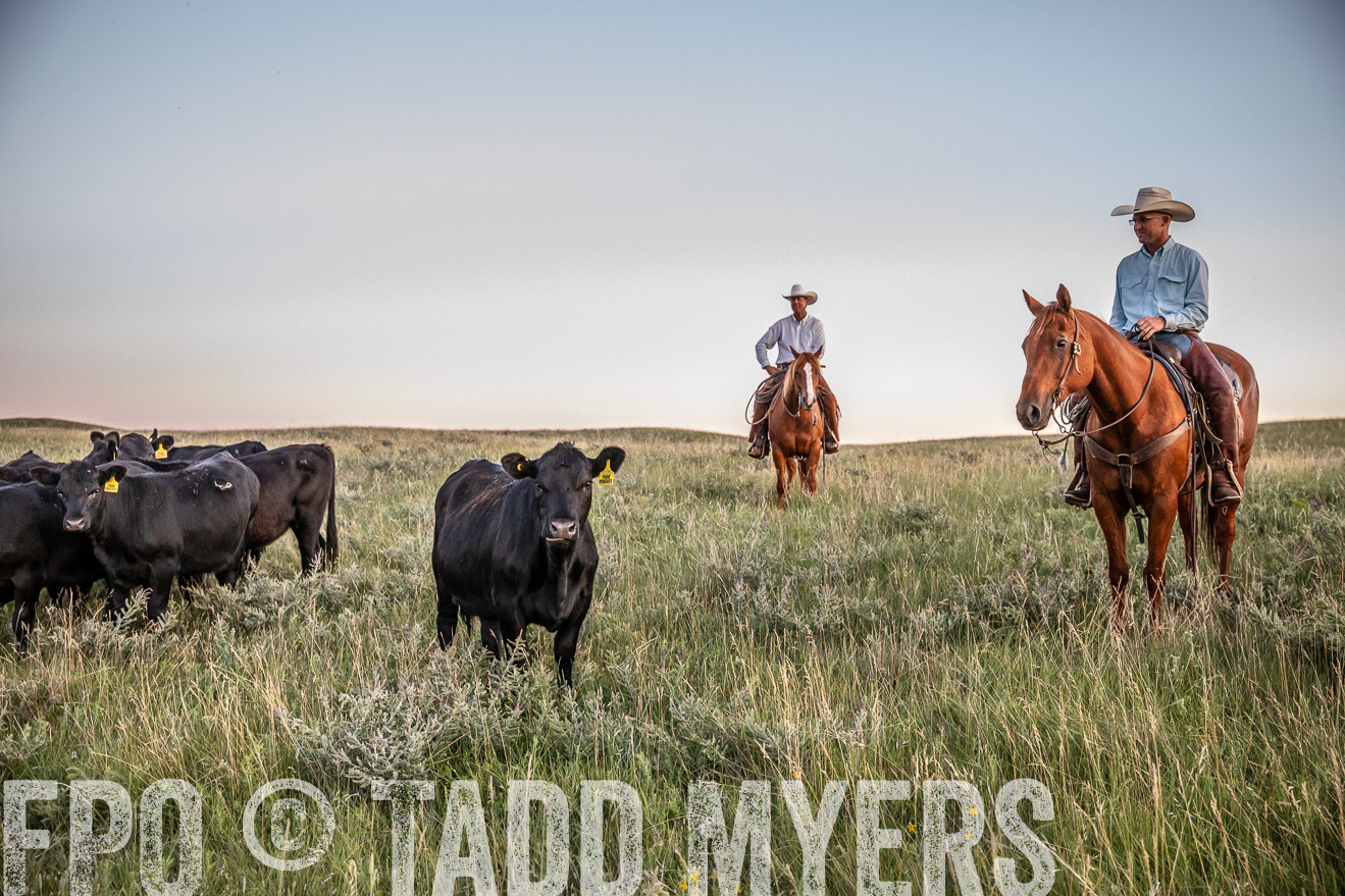 PP_TuckerRanch_NE_July2019-42846