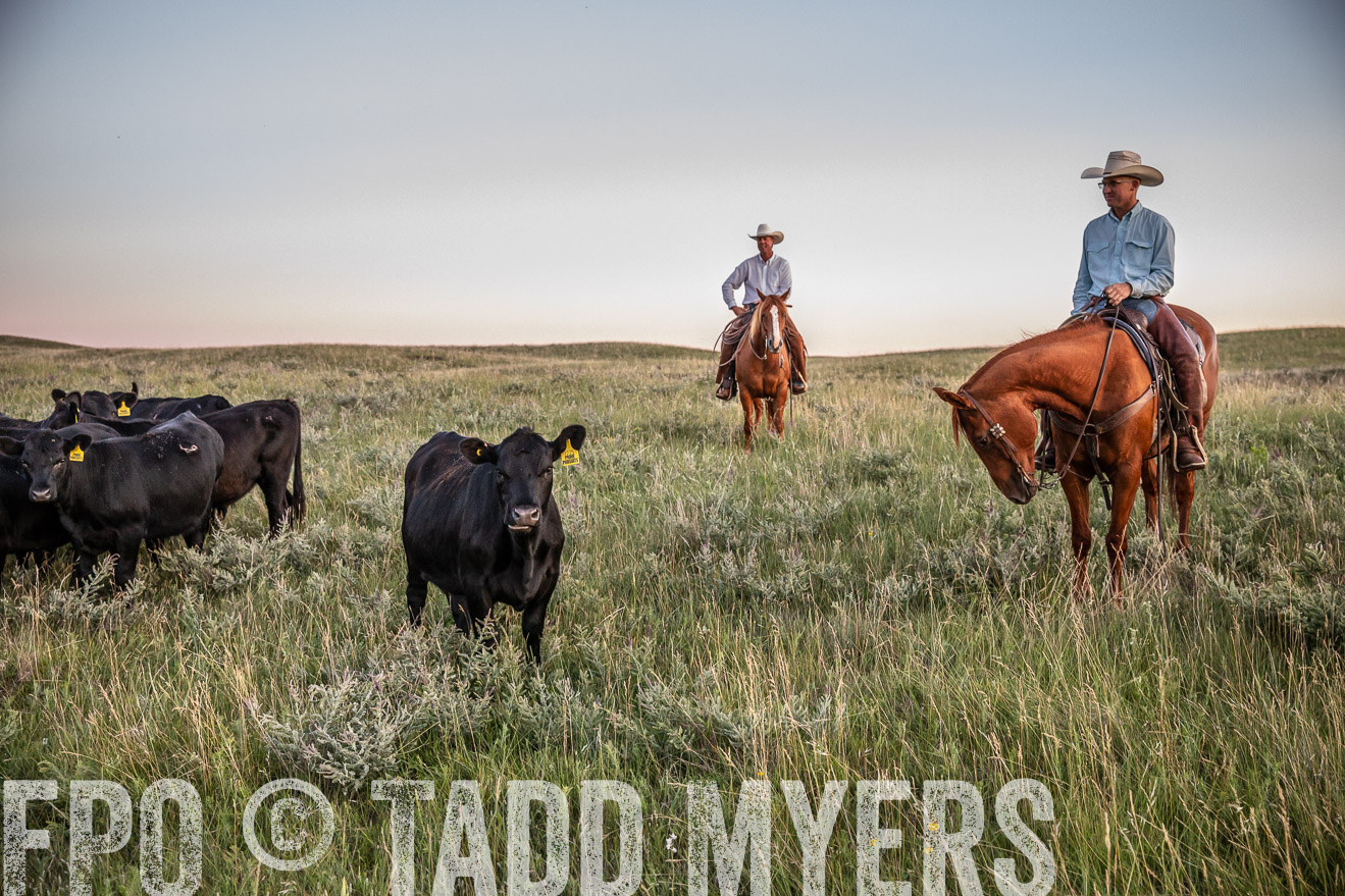 PP_TuckerRanch_NE_July2019-42847