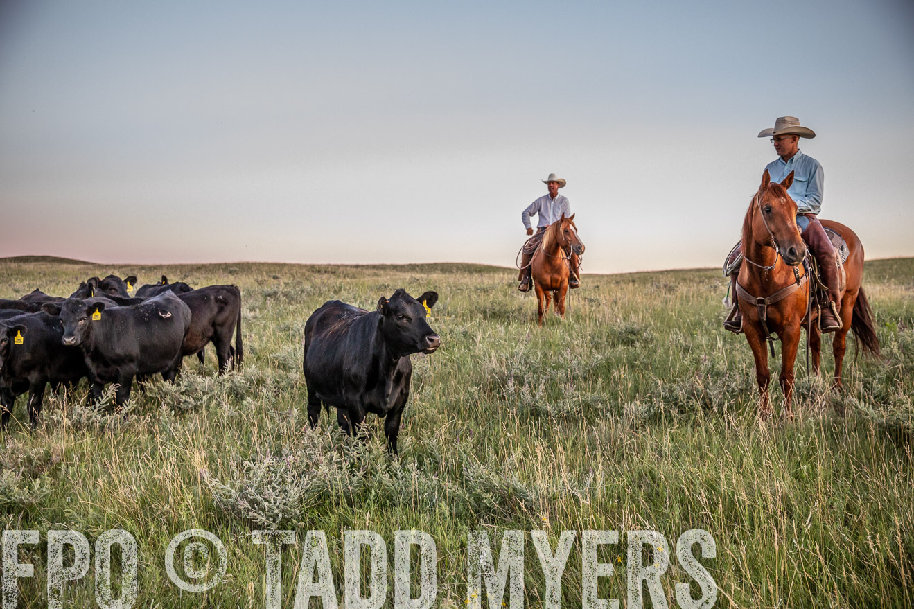PP_TuckerRanch_NE_July2019-42850