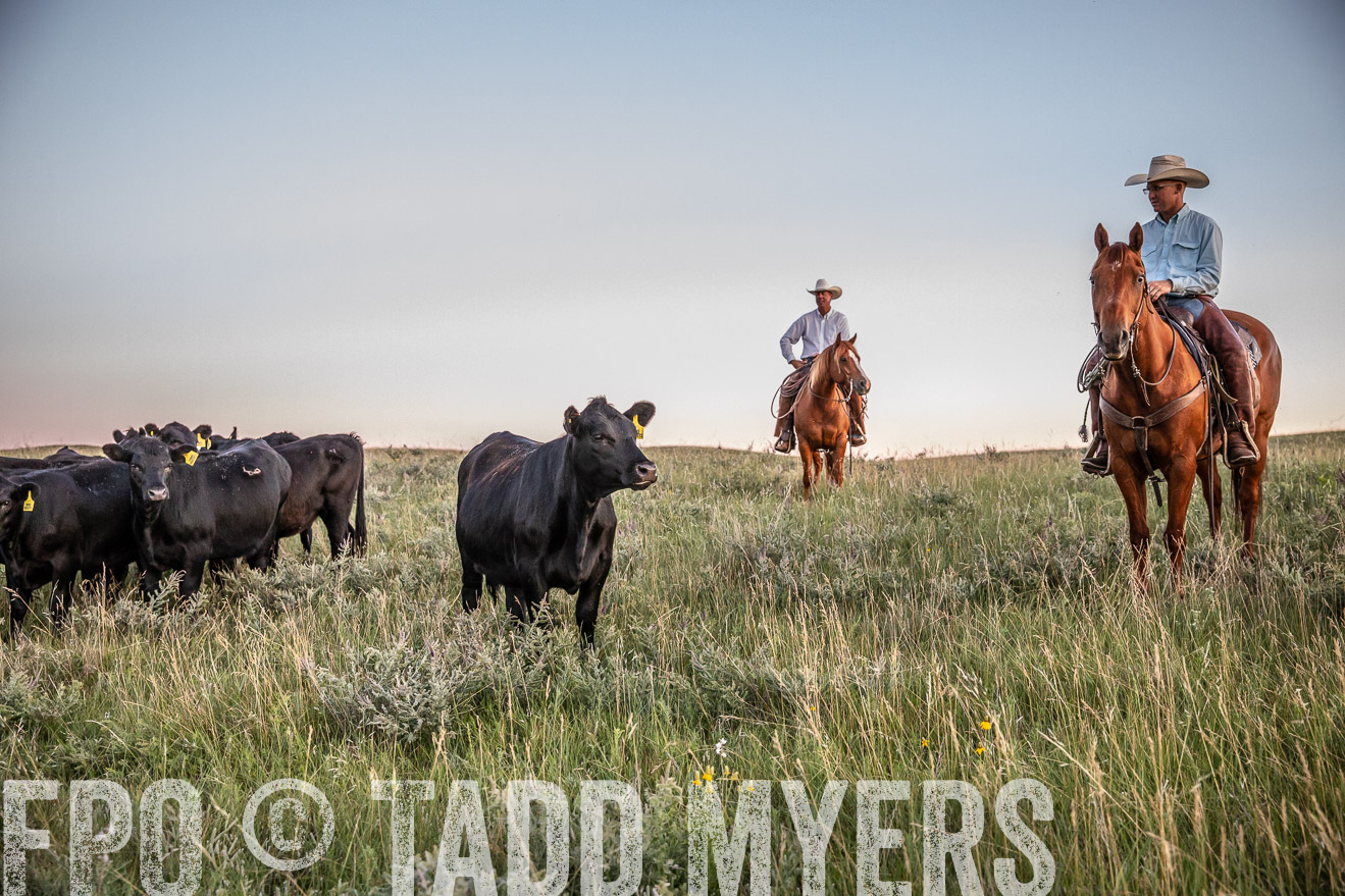 PP_TuckerRanch_NE_July2019-42851