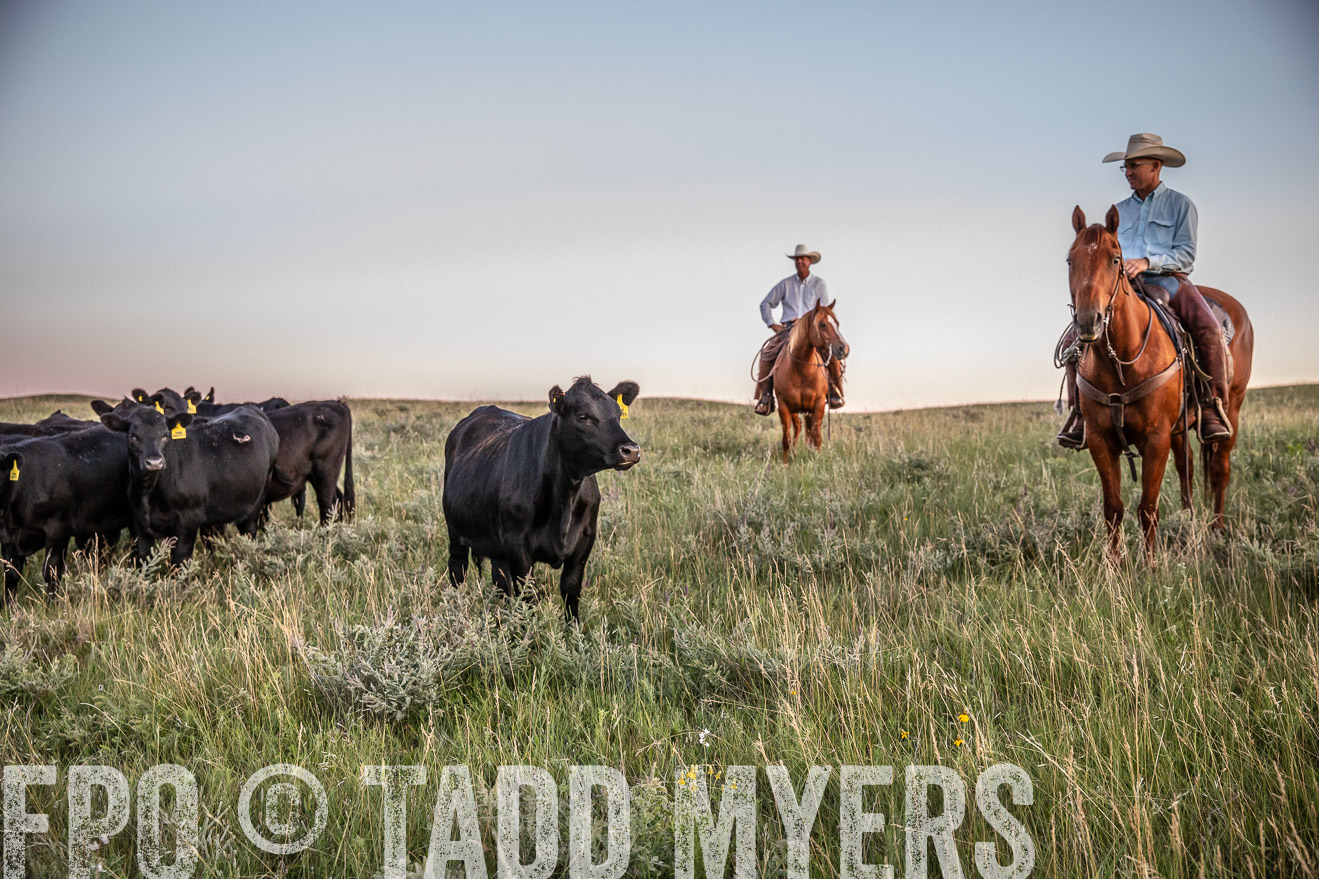 PP_TuckerRanch_NE_July2019-42853
