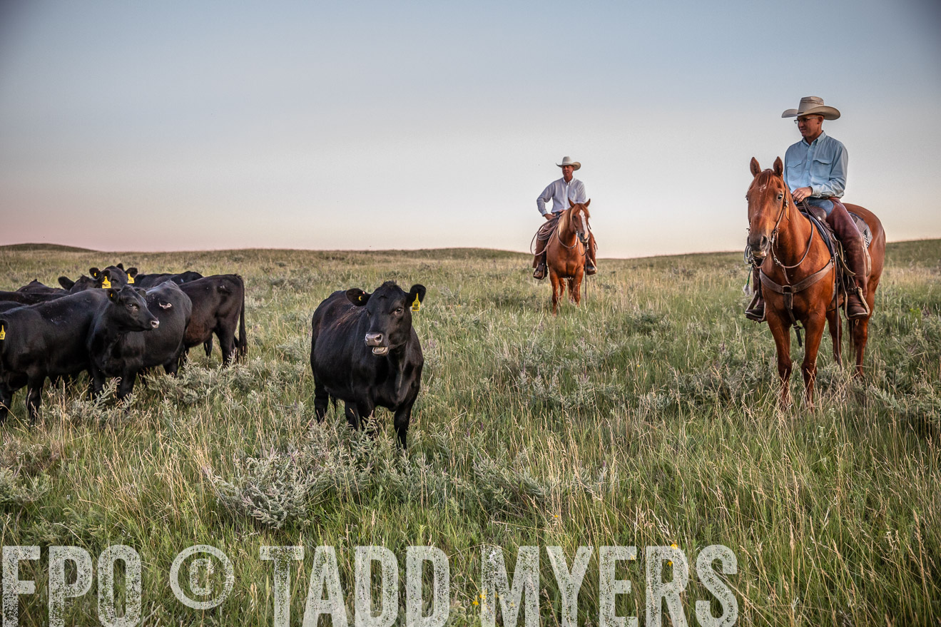 PP_TuckerRanch_NE_July2019-42854