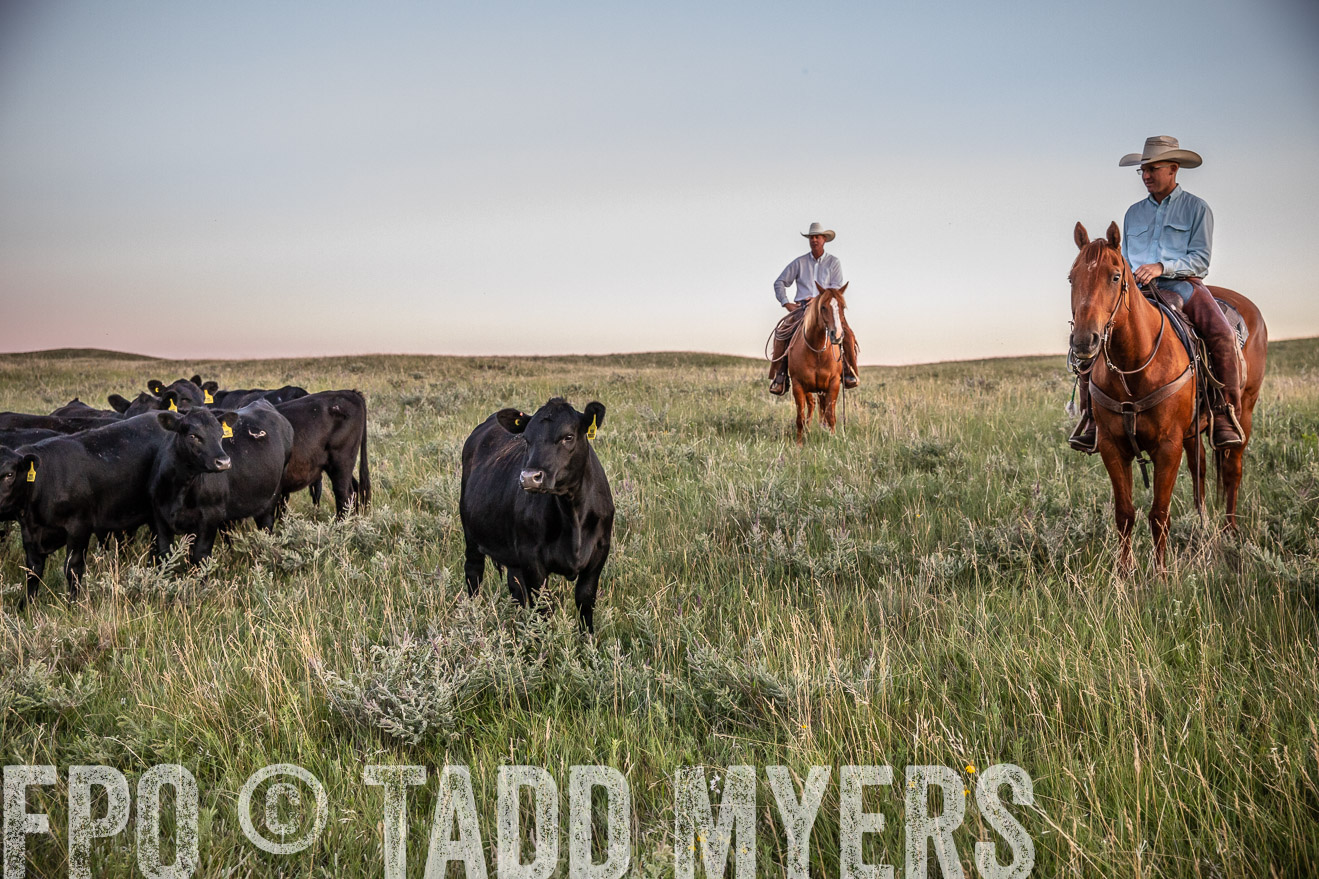 PP_TuckerRanch_NE_July2019-42855