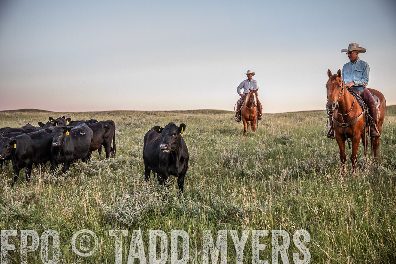 PP_TuckerRanch_NE_July2019-42856