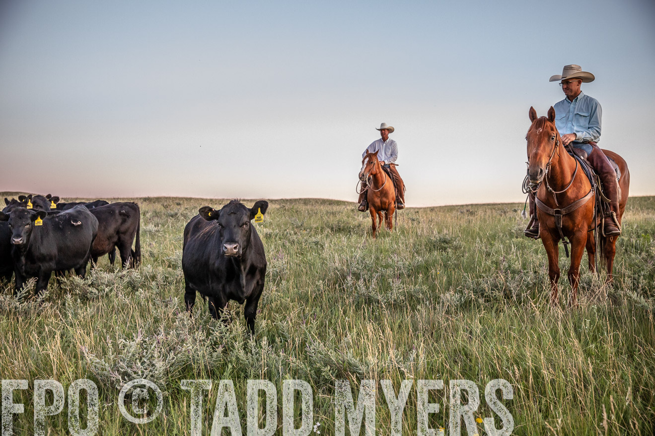 PP_TuckerRanch_NE_July2019-42857