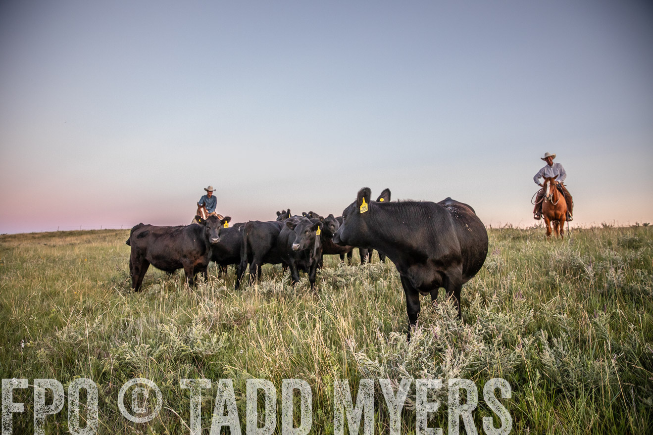 PP_TuckerRanch_NE_July2019-42888