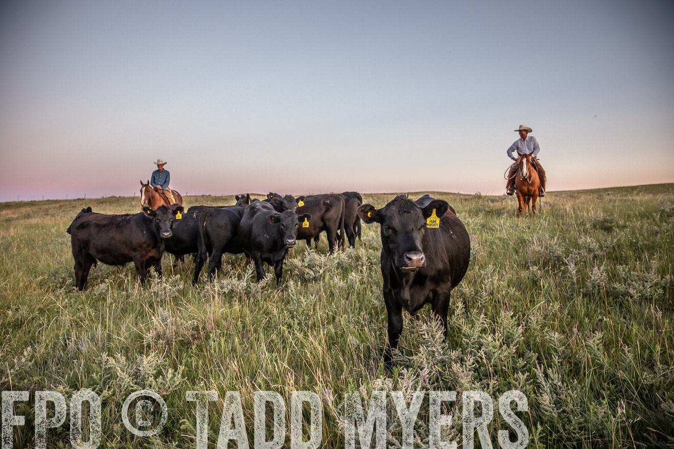 PP_TuckerRanch_NE_July2019-42889