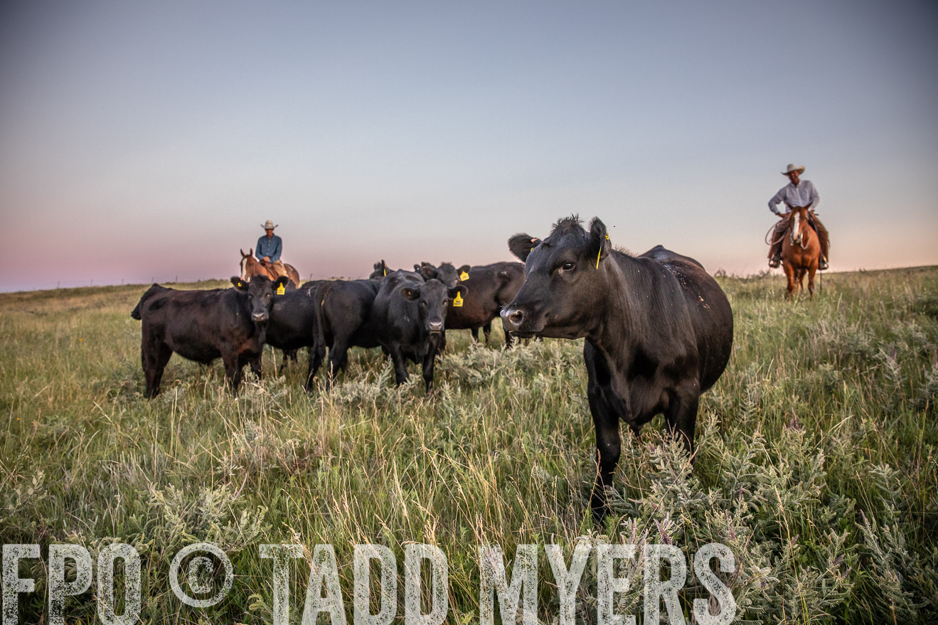 PP_TuckerRanch_NE_July2019-42890