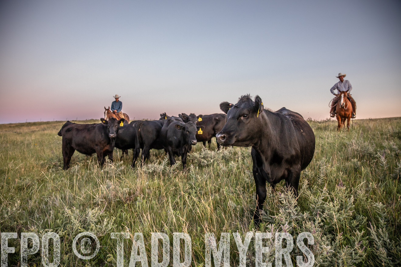 PP_TuckerRanch_NE_July2019-42891