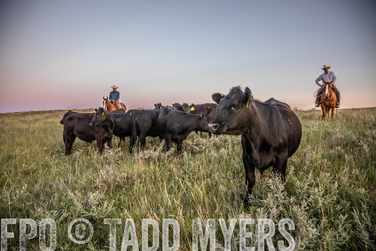 PP_TuckerRanch_NE_July2019-42892