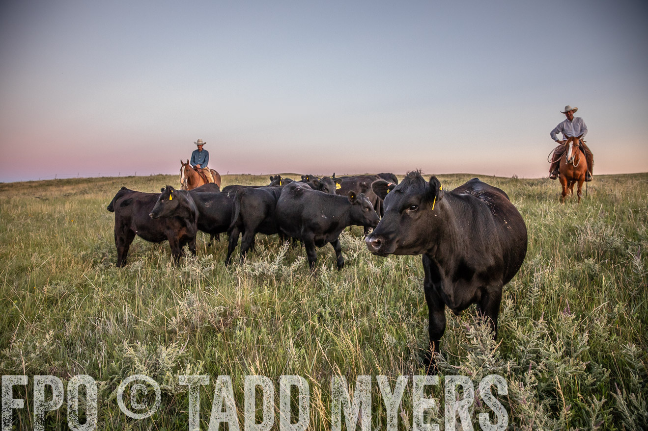 PP_TuckerRanch_NE_July2019-42894