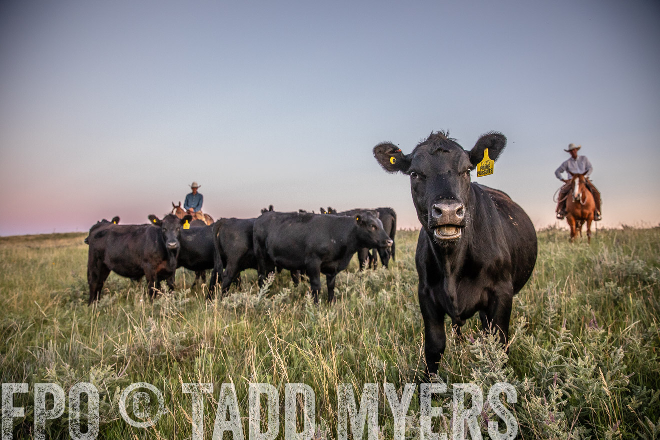 PP_TuckerRanch_NE_July2019-42898