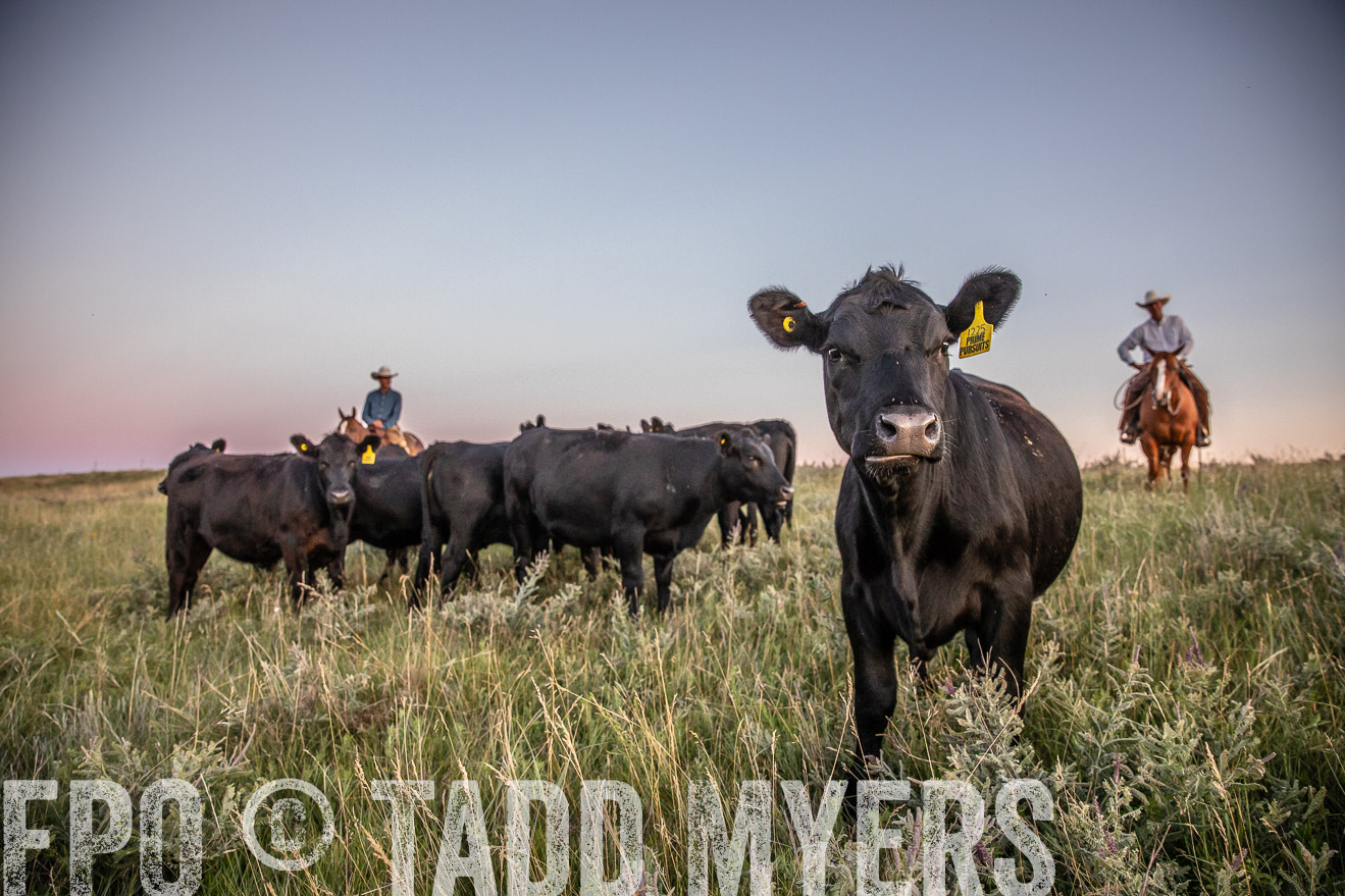 PP_TuckerRanch_NE_July2019-42899