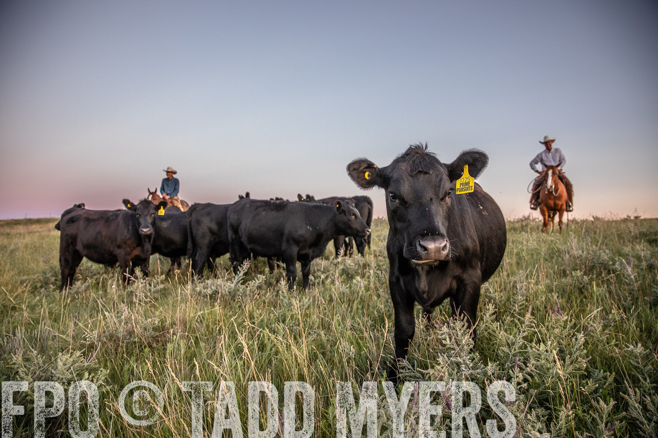 PP_TuckerRanch_NE_July2019-42900