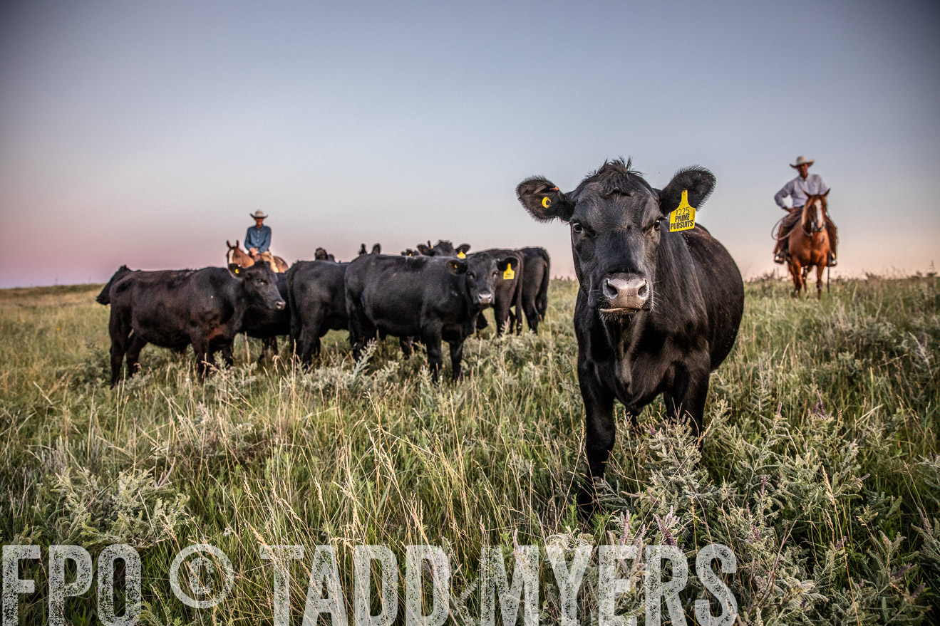 PP_TuckerRanch_NE_July2019-42906-1