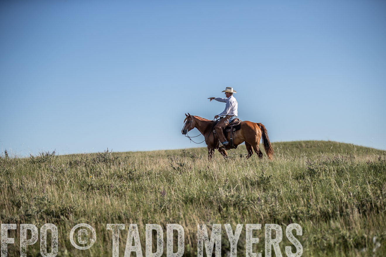 PP_TuckerRanch_NE_July2019-7255