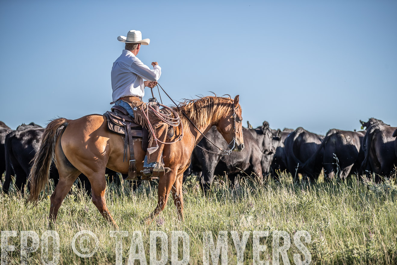 PP_TuckerRanch_NE_July2019-7264