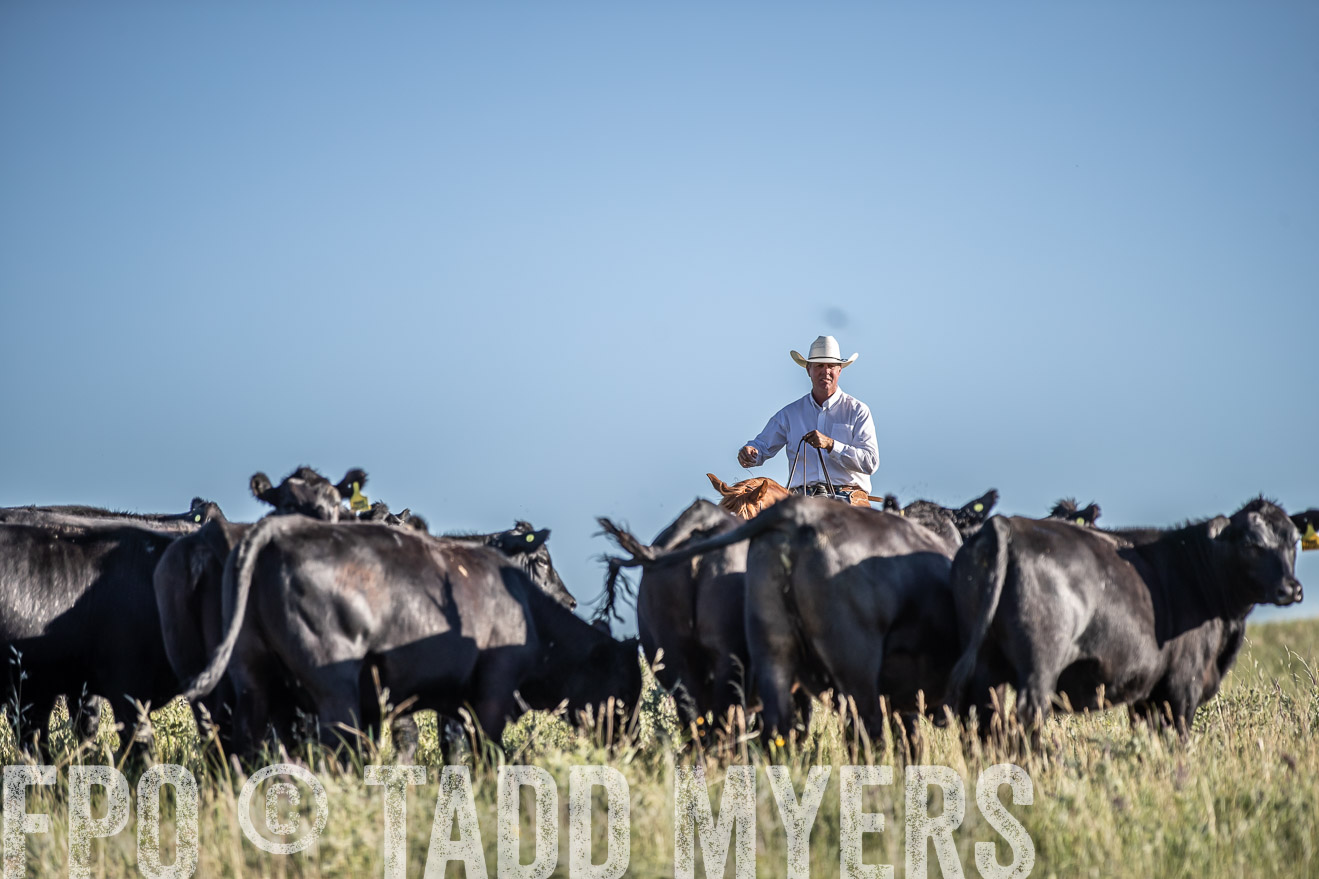 PP_TuckerRanch_NE_July2019-7266