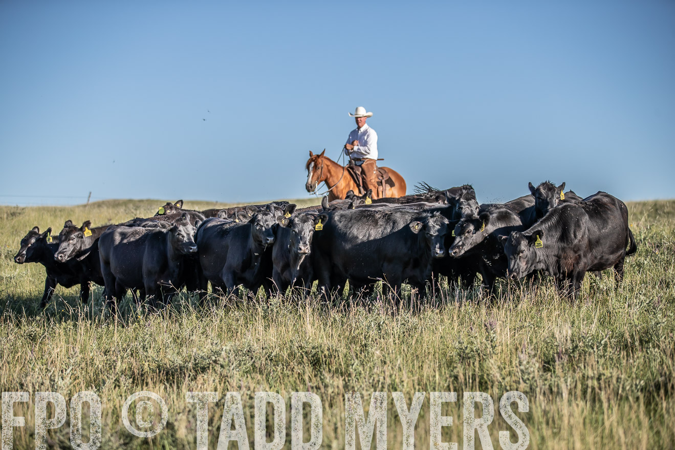 PP_TuckerRanch_NE_July2019-7269