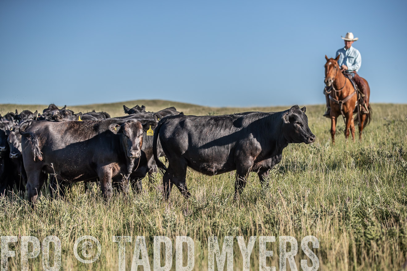 PP_TuckerRanch_NE_July2019-7274