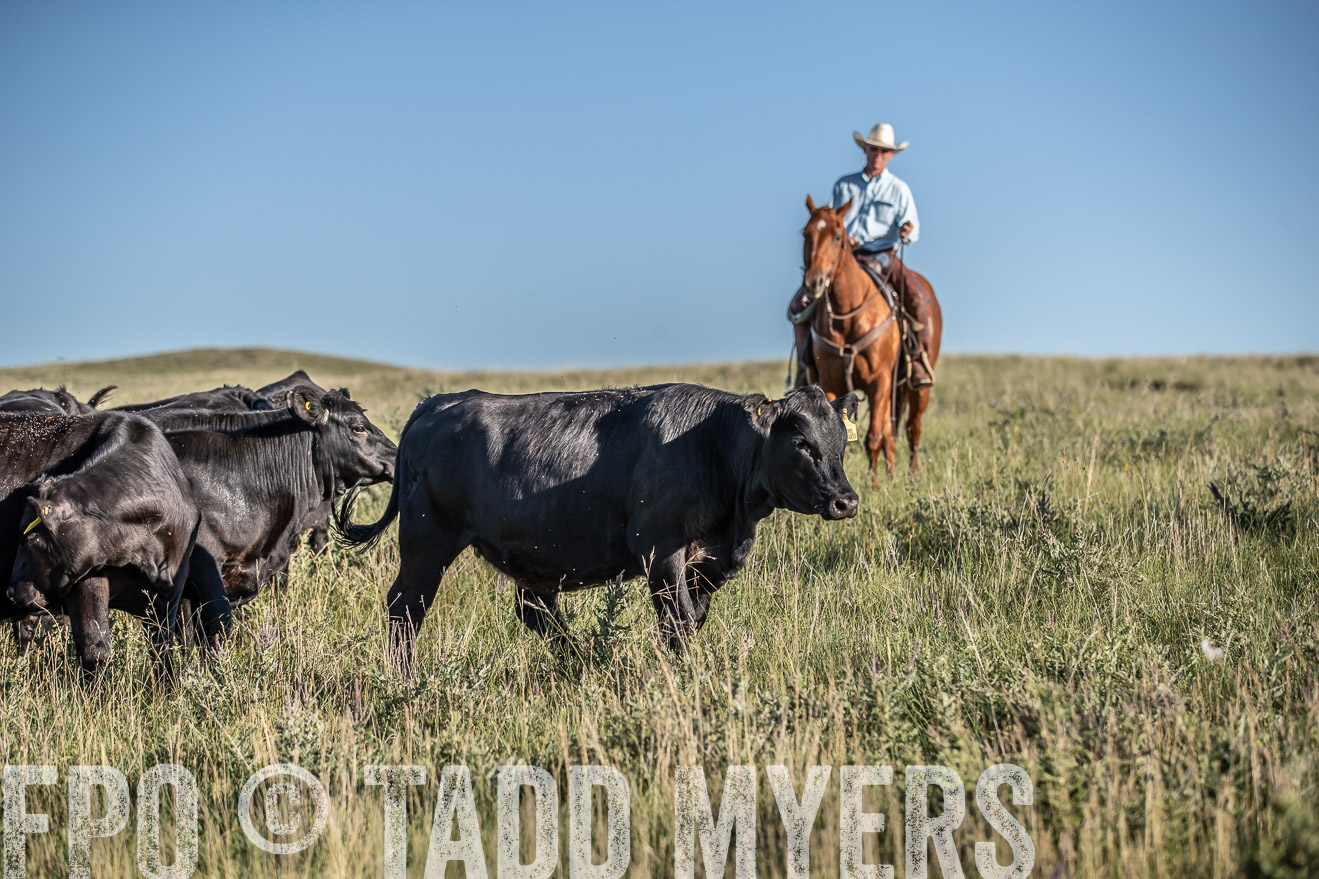 PP_TuckerRanch_NE_July2019-7275