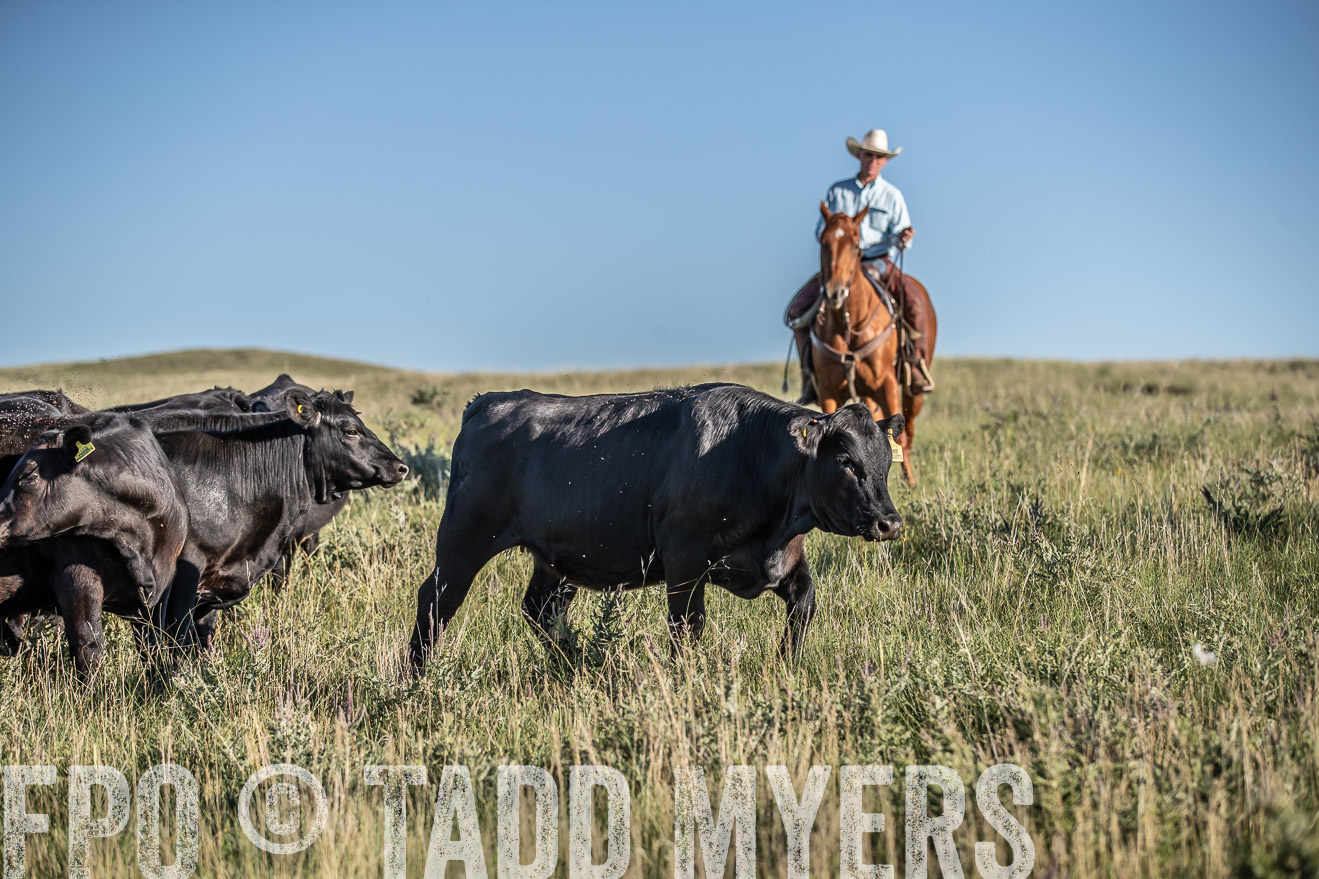 PP_TuckerRanch_NE_July2019-7276