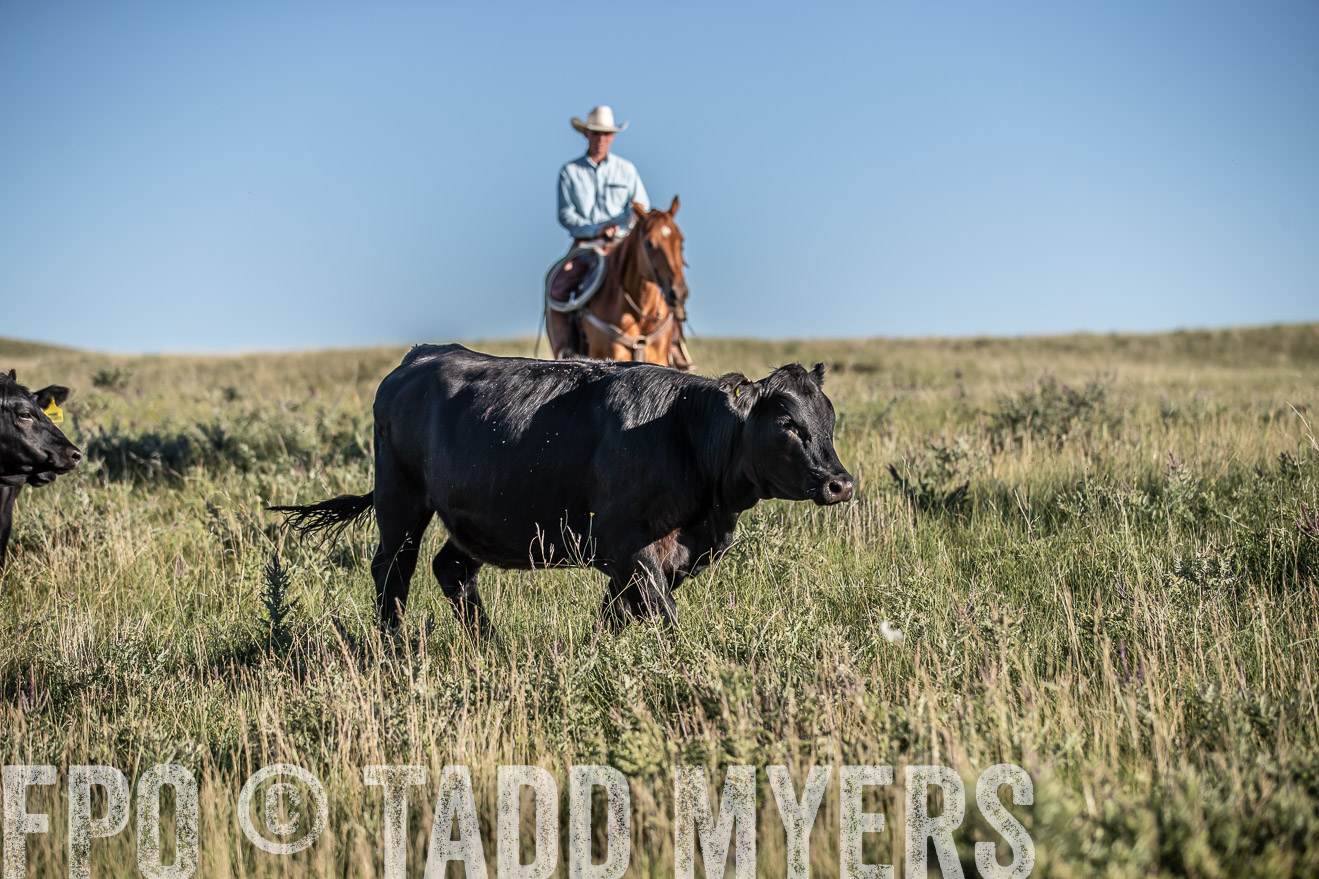 PP_TuckerRanch_NE_July2019-7277