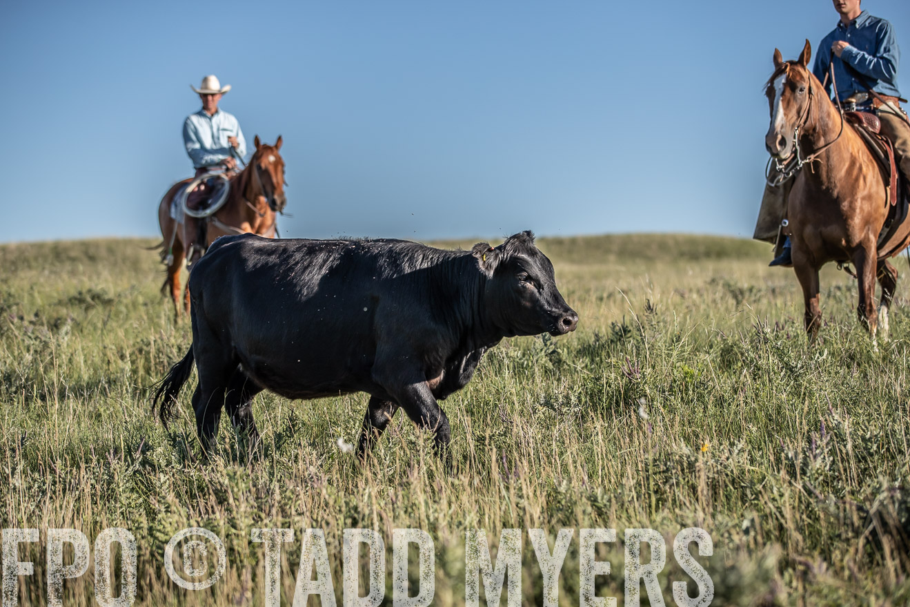 PP_TuckerRanch_NE_July2019-7279