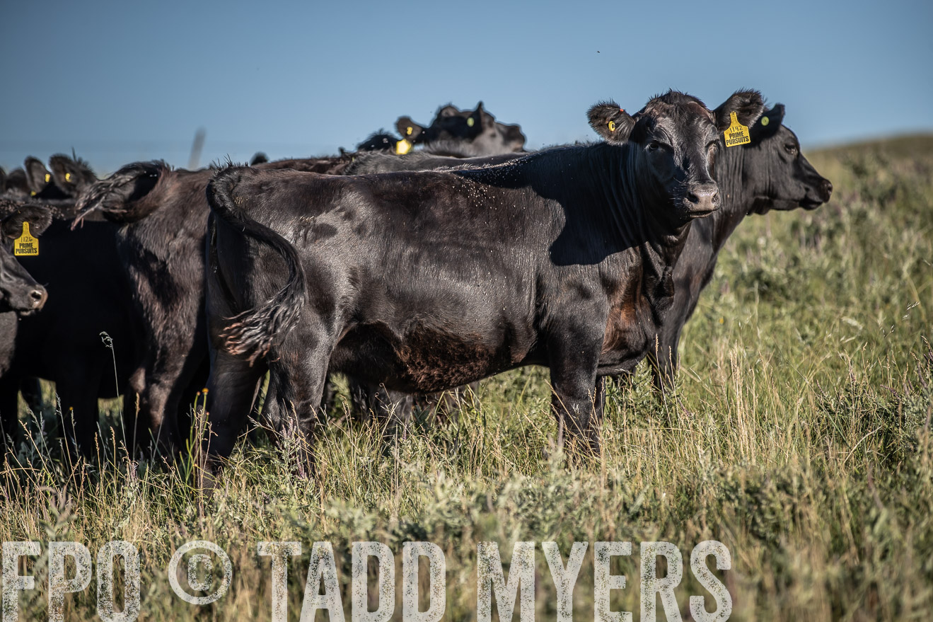 PP_TuckerRanch_NE_July2019-7317