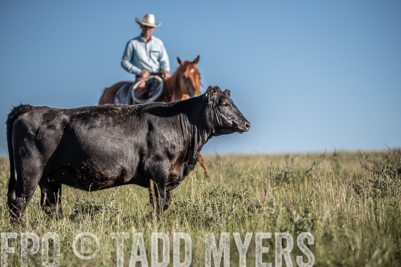 PP_TuckerRanch_NE_July2019-7320