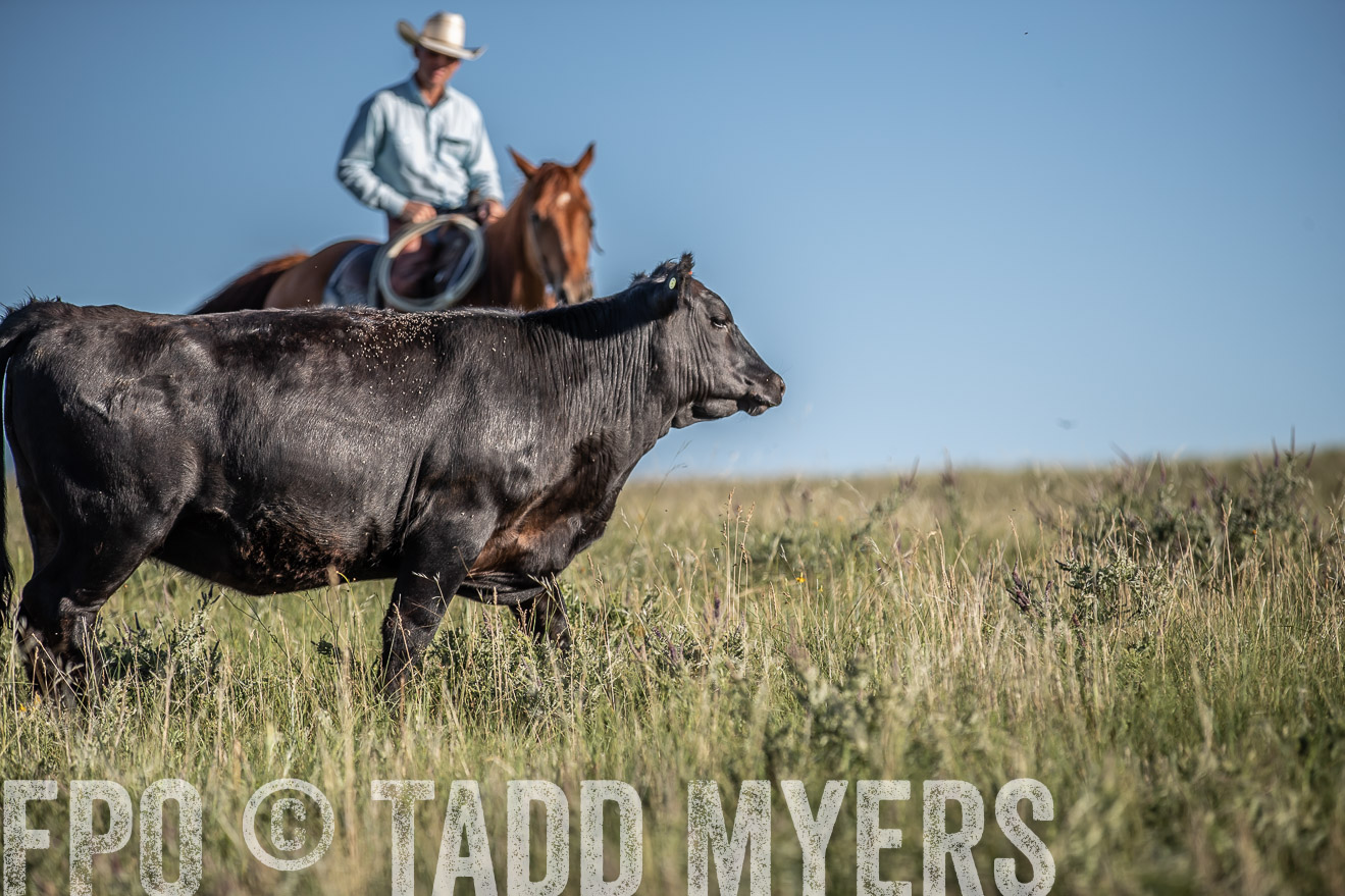 PP_TuckerRanch_NE_July2019-7321