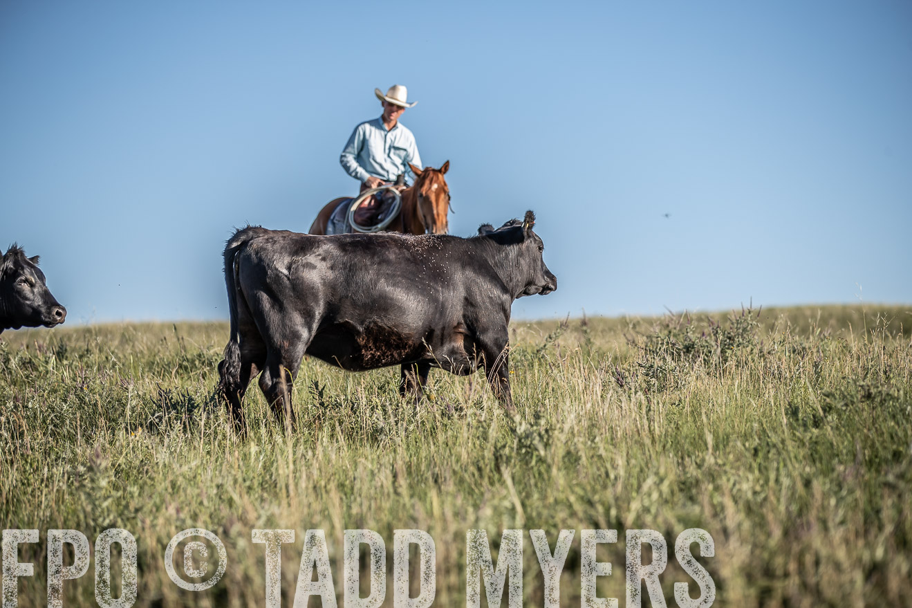 PP_TuckerRanch_NE_July2019-7322