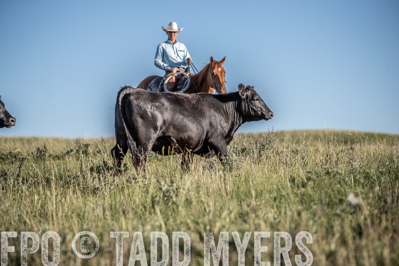 PP_TuckerRanch_NE_July2019-7324