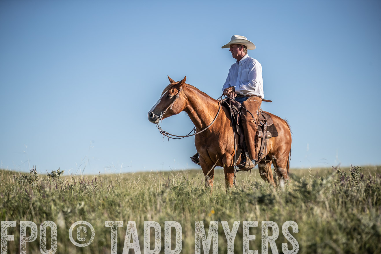 PP_TuckerRanch_NE_July2019-7330