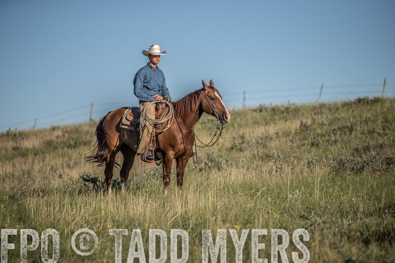 PP_TuckerRanch_NE_July2019-7333