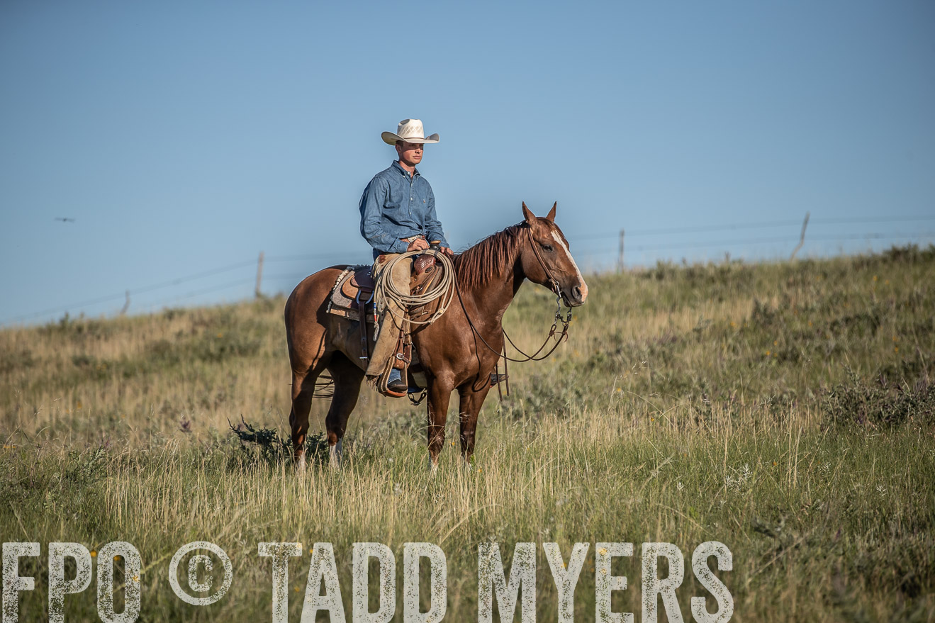 PP_TuckerRanch_NE_July2019-7334