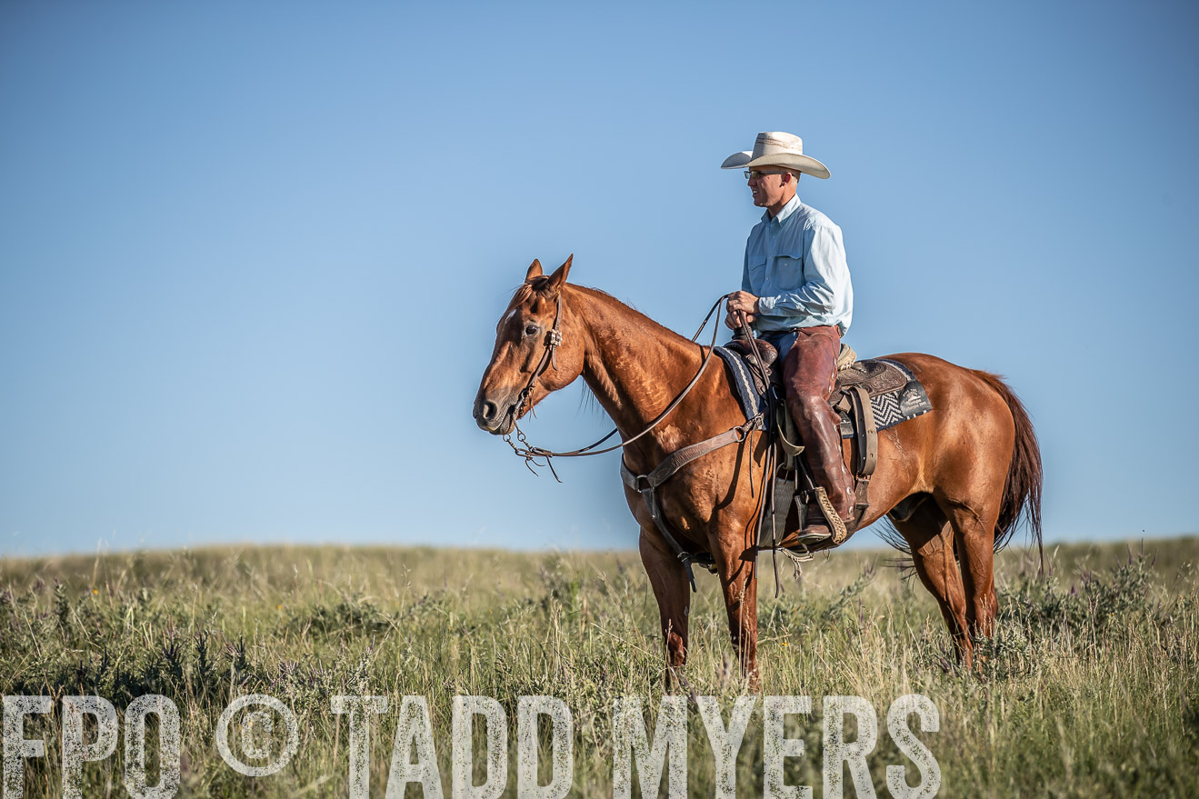 PP_TuckerRanch_NE_July2019-7353