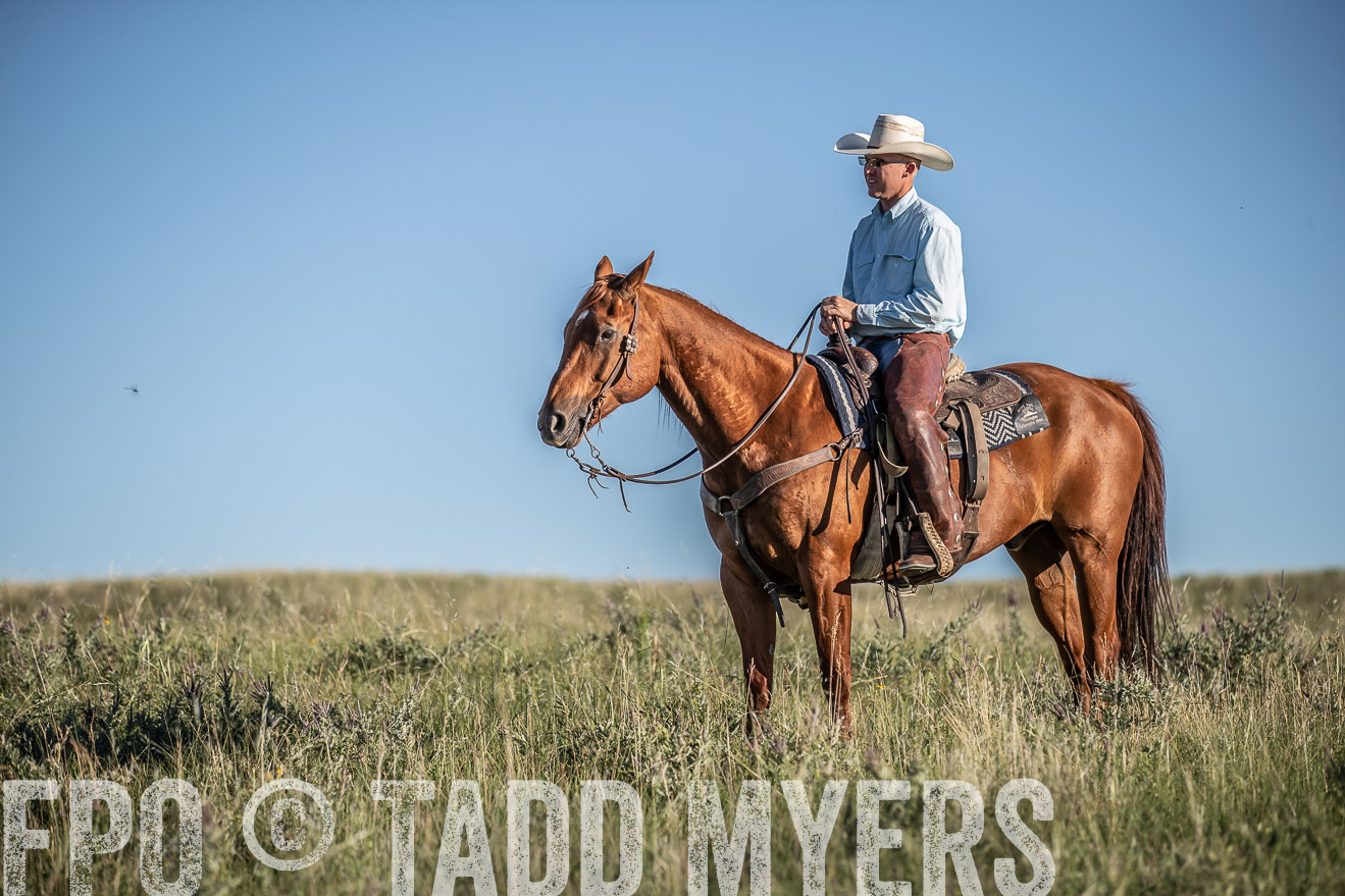 PP_TuckerRanch_NE_July2019-7355