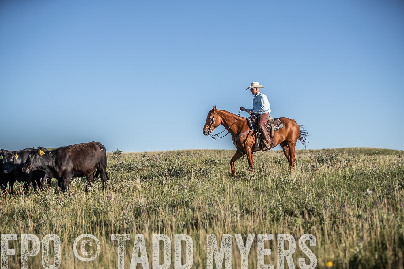 PP_TuckerRanch_NE_July2019-7356