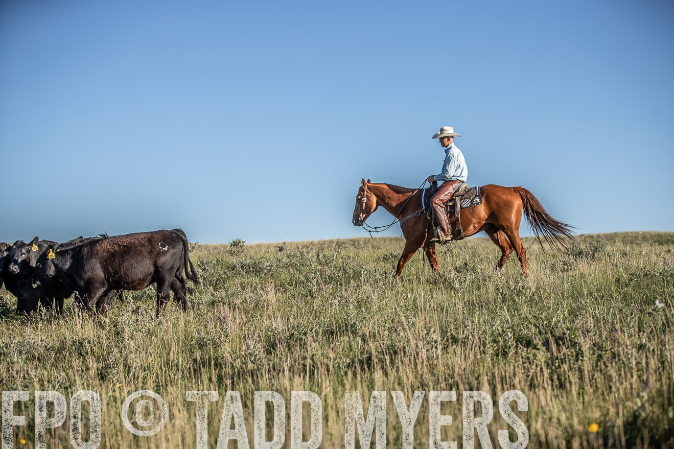 PP_TuckerRanch_NE_July2019-7357