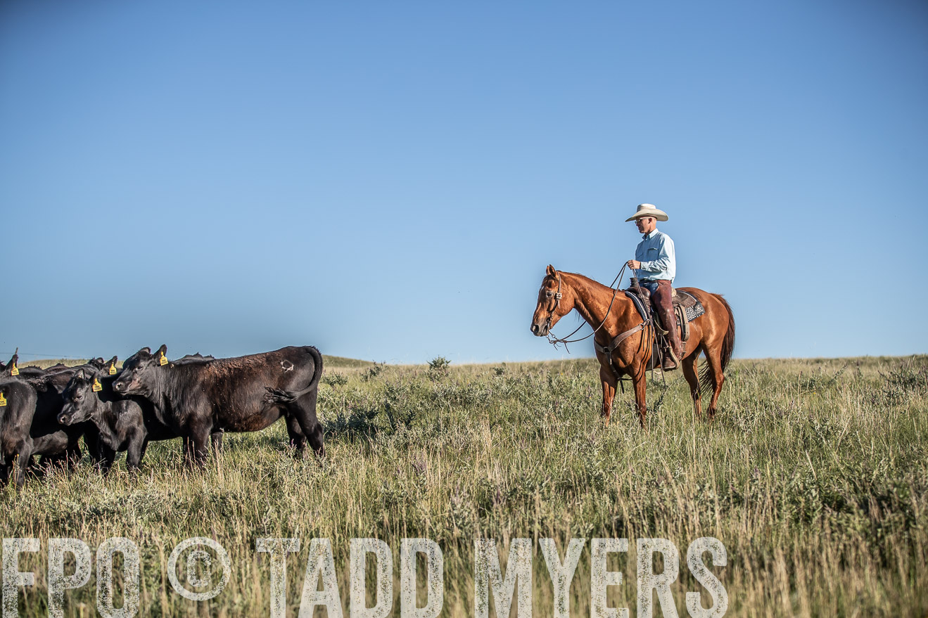 PP_TuckerRanch_NE_July2019-7358